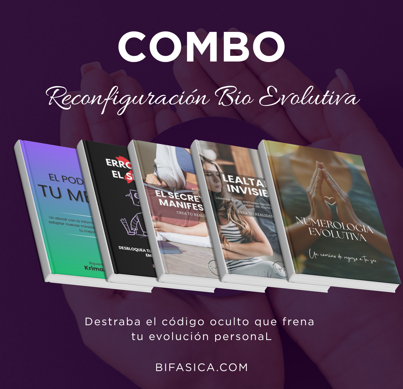 Reconfiguración Bio Evolutiva